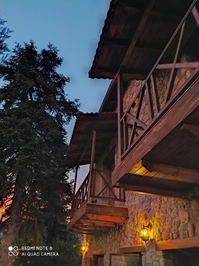 Guesthouse Elaia Synikia Mesi Trikalon Eksteriør billede